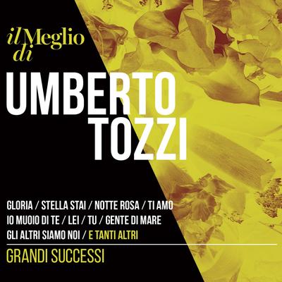 Il Meglio Di Umberto Tozzi: Grandi Successi's cover