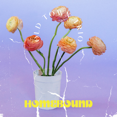 Homebound By Old Town Trio's cover