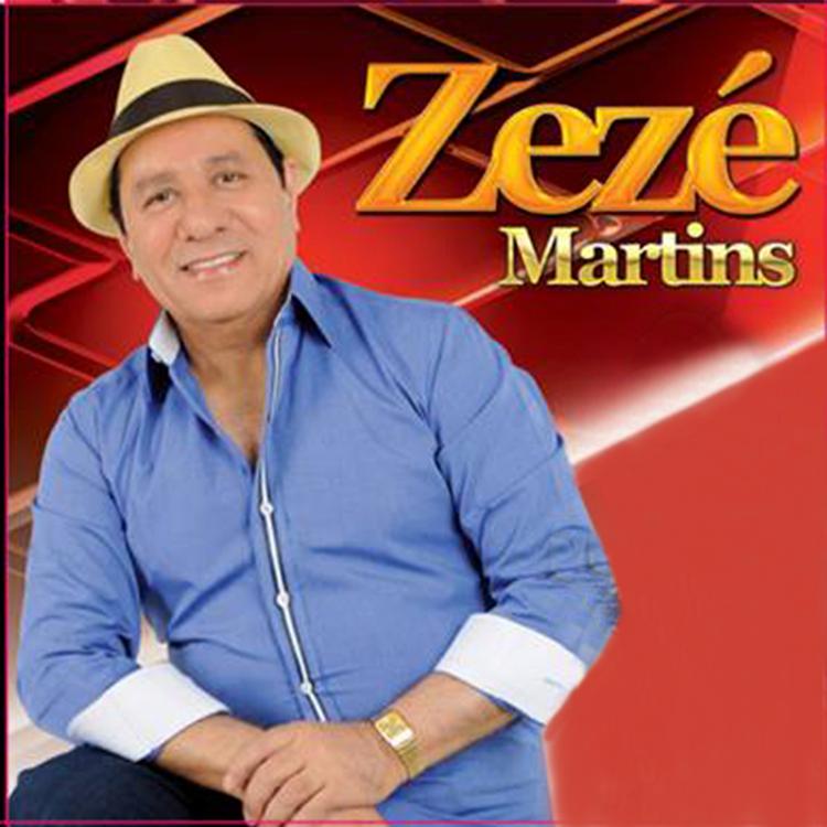 ZEZÉ MARTINS's avatar image