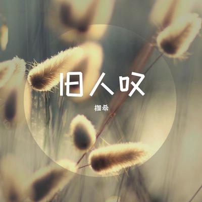 热恋冰淇淋 (Remix)'s cover