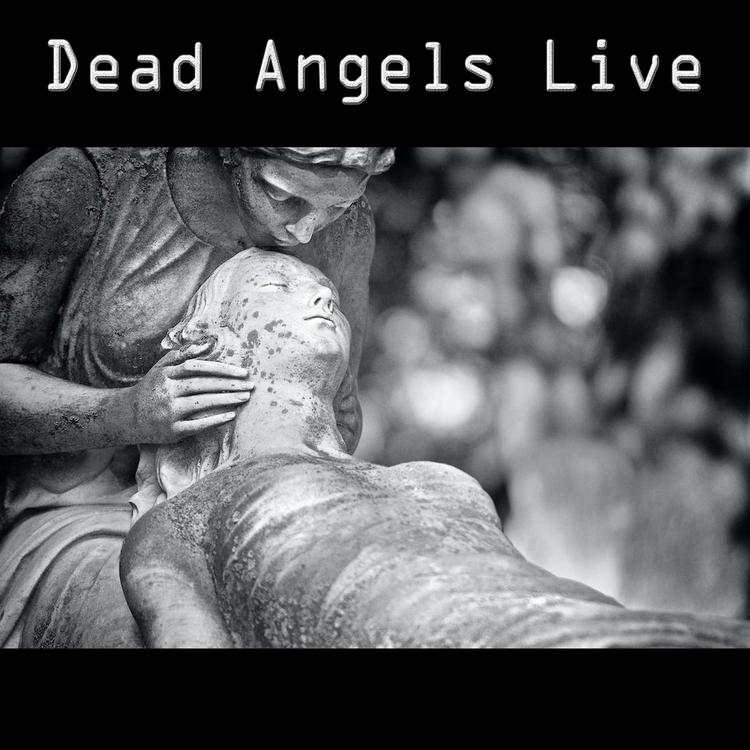 Dead Angels Live's avatar image