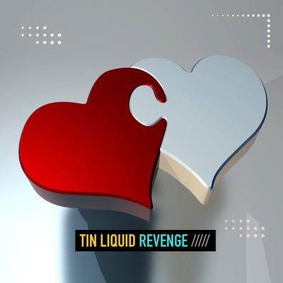 Revenge By Tin Liquid's cover