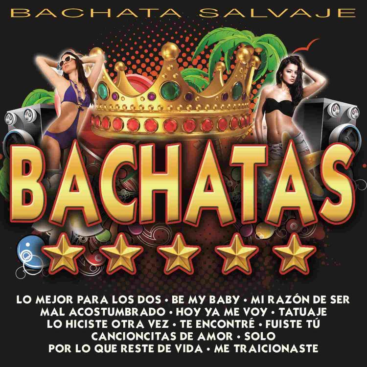 Bachata Salvaje's avatar image