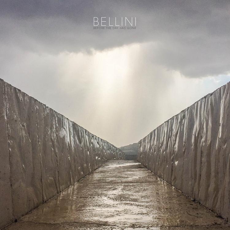 Bellini's avatar image