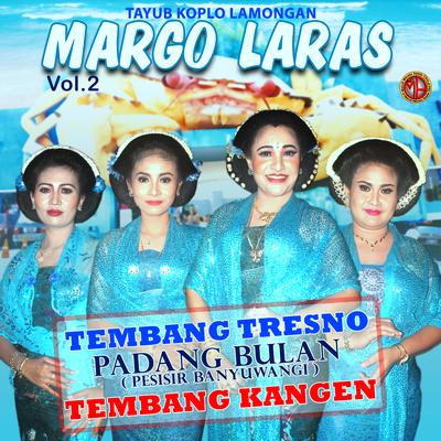 TAYUB MARGO LARAS, Vol. 2's cover