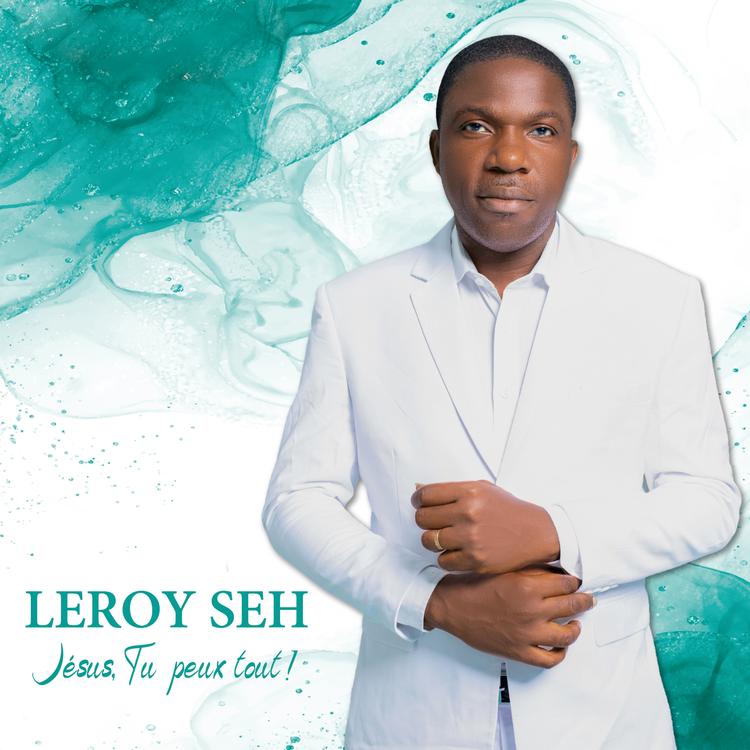 Leroy Seh's avatar image