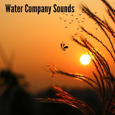 Water Company Sounds's cover