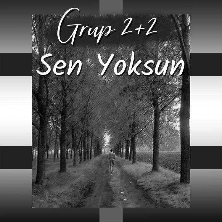 Grup 2+2's avatar image