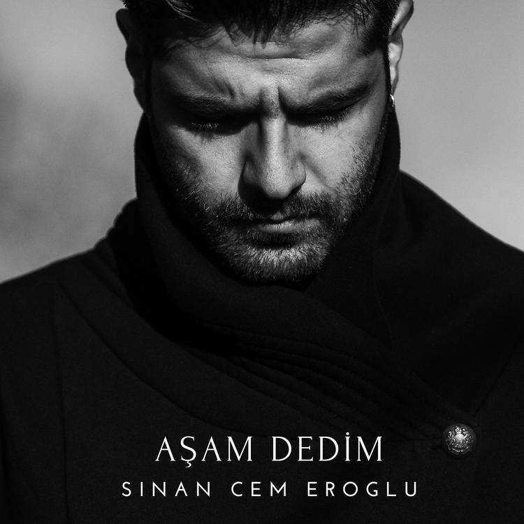 Sinan Cem Eroğlu's avatar image