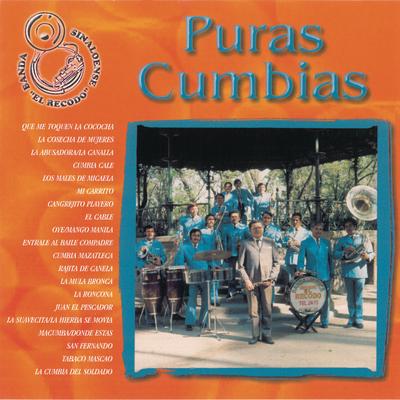 Puras Cumbias's cover