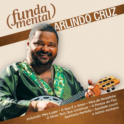 Amor Com Certeza By Arlindo Cruz's cover