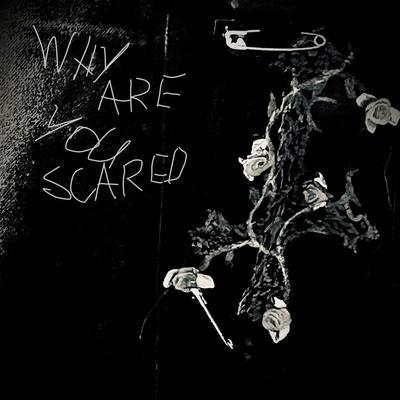 Why Are You Scared's cover