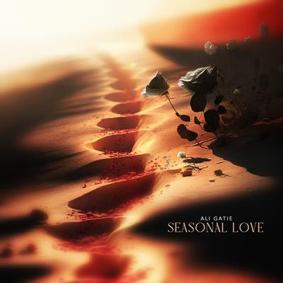 Seasonal Love By Ali Gatie's cover