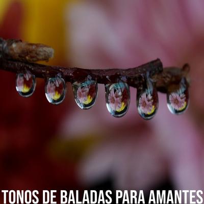 Tonos de baladas para Amantes's cover