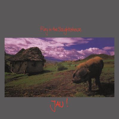 Won't Forget These Days By Fury in the Slaughterhouse's cover