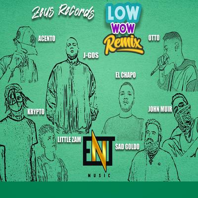 Low Wow (Remix)'s cover