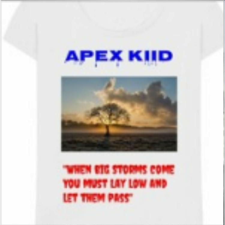 Apex Kiid's avatar image