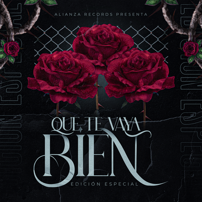 Que Te Vaya Bien By Edicion Especial's cover