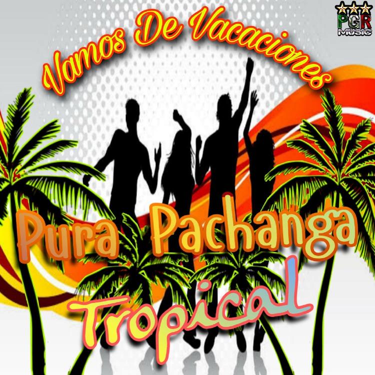 Pura Pachanga Tropical's avatar image