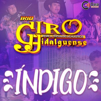 Trio Giro Hidalguense's cover