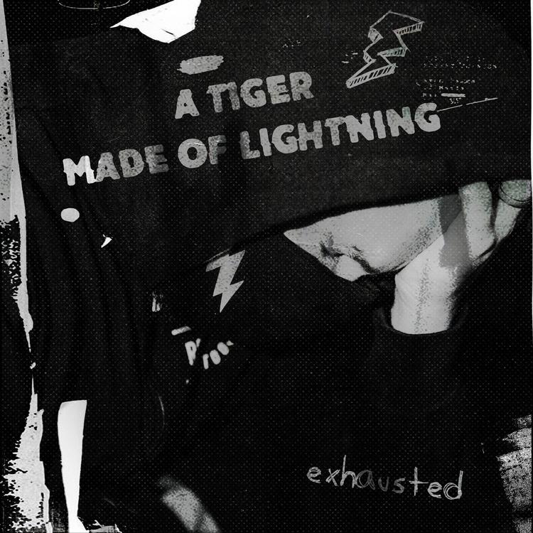 A Tiger Made of Lightning's avatar image