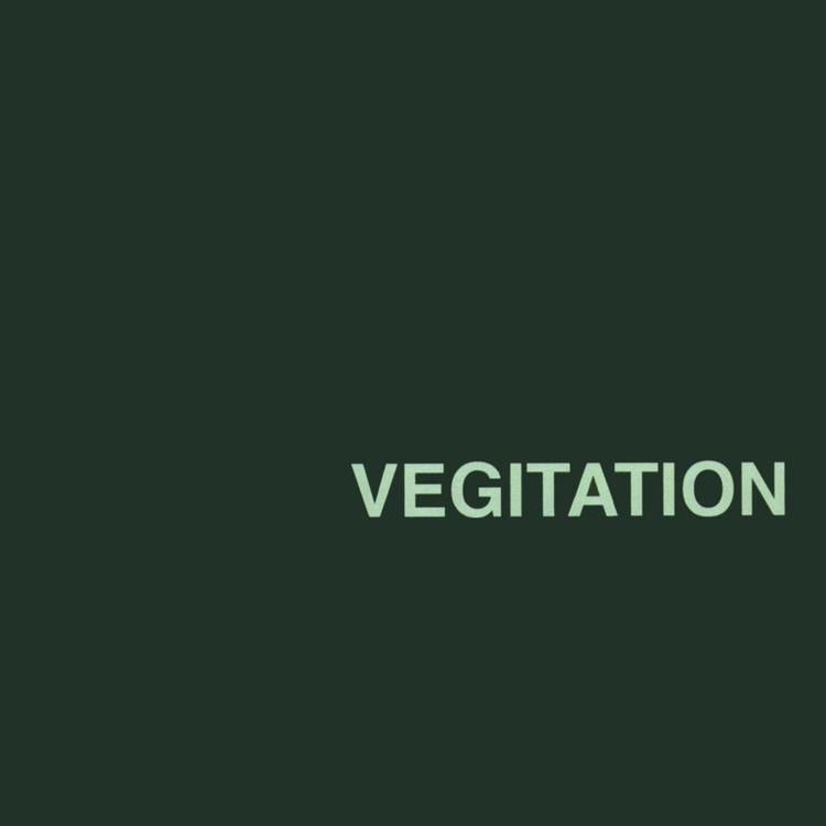 Vegitation's avatar image