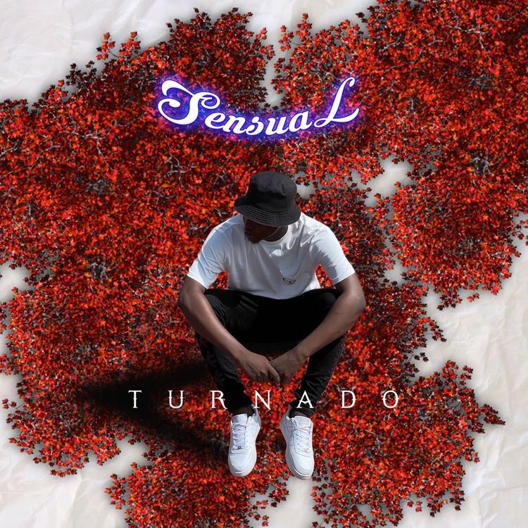 Turnado's avatar image