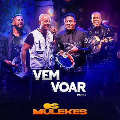 Já Era (Ao Vivo) By Os Mulekes's cover