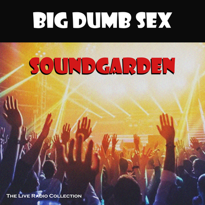 Big Dumb Sex (Live)'s cover