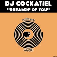 DJ Cockatiel's avatar cover