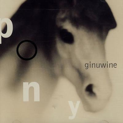 Pony's cover