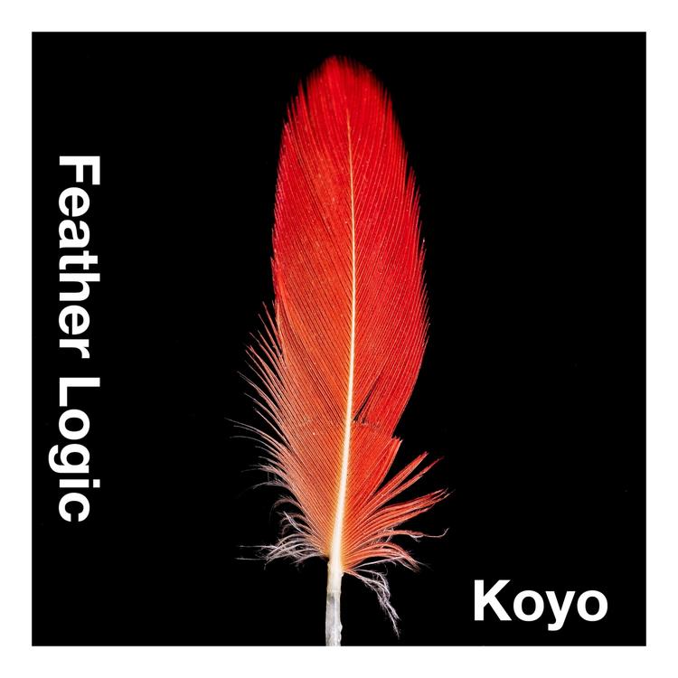 Feather Logic's avatar image