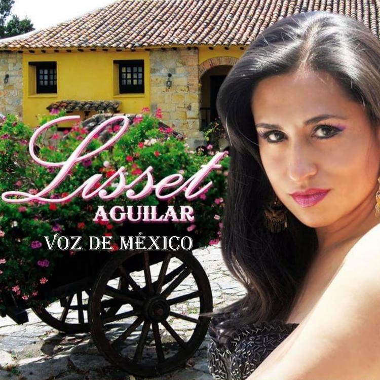 Lisset Aguilar's avatar image