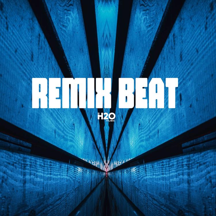 H2O Remix's avatar image