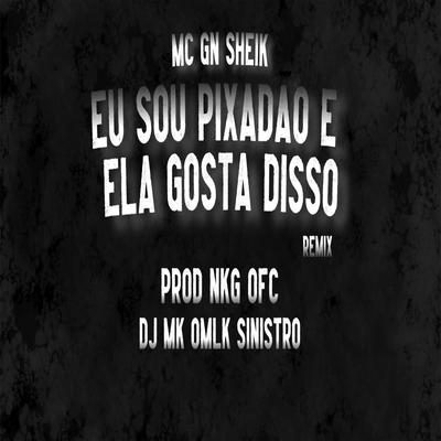 Eu Sou Pixadão e Ela Gosta Disso By DJ MK o Mlk Sinistro, MC GN Sheik, PROD NKG OFC's cover