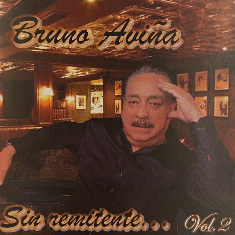 Bruno Aviña's avatar image