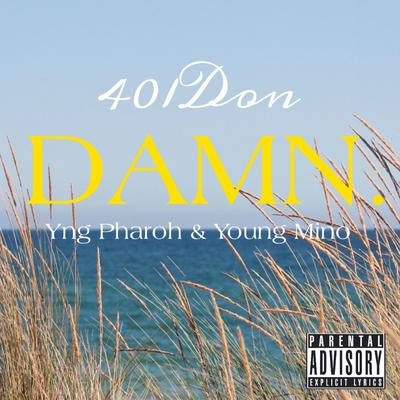401don's cover