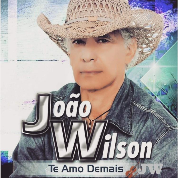 João Wilson's avatar image