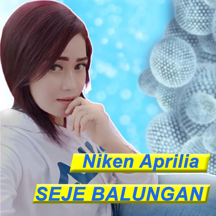 Niken Aprilia's avatar image
