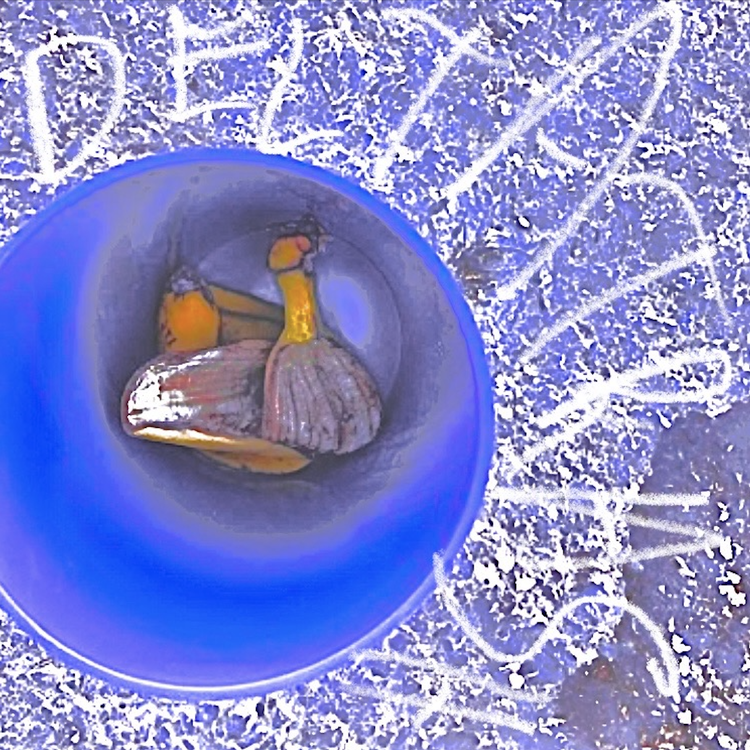 Bean's Pond's avatar image