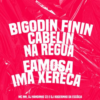 Bigodin Finin Cabelin na Régua - Famosa Imã Xereca's cover