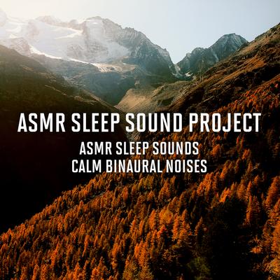 ASMR Binaural Sleep Sounds By ASMR Sleep Sound Project's cover