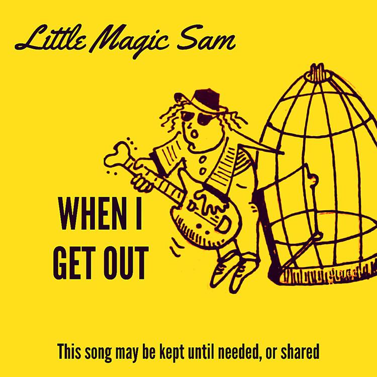 Little Magic Sam's avatar image