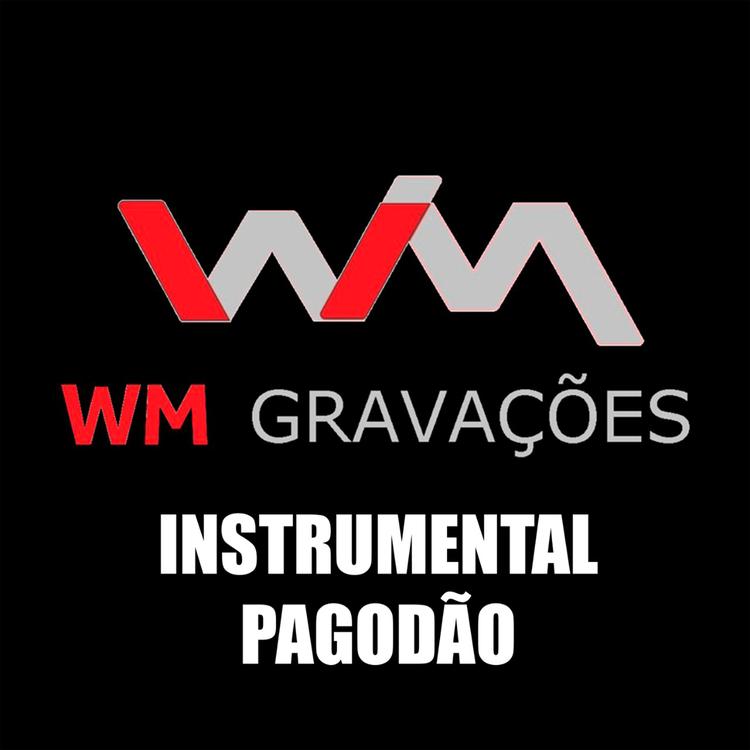 Wm Gravações's avatar image
