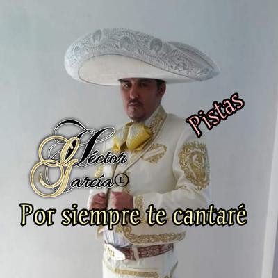 Héctor García L's cover