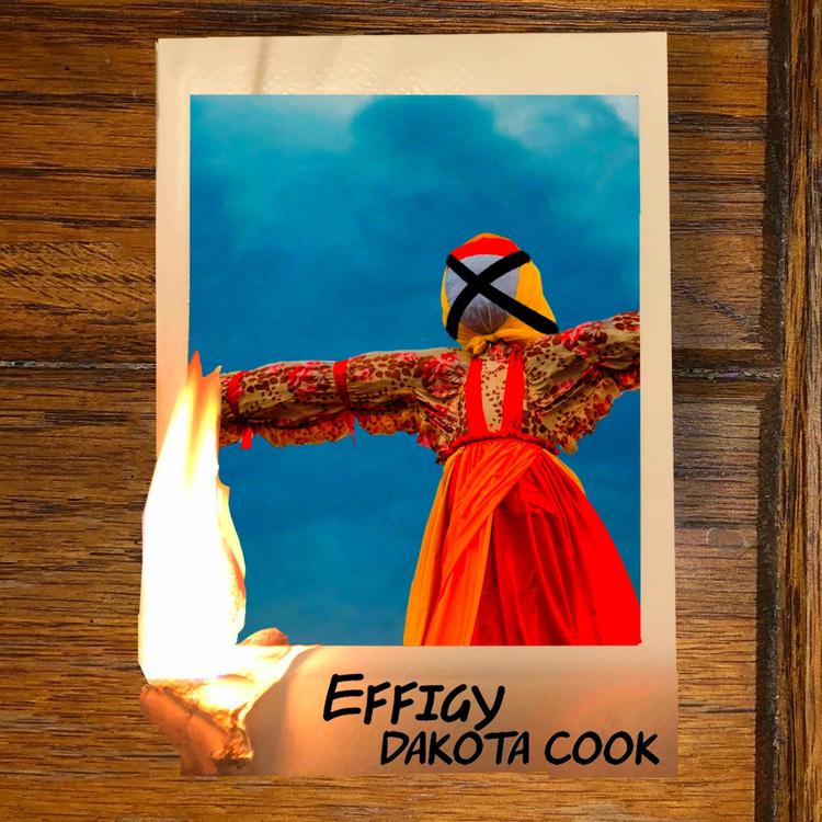 Dakota Cook's avatar image