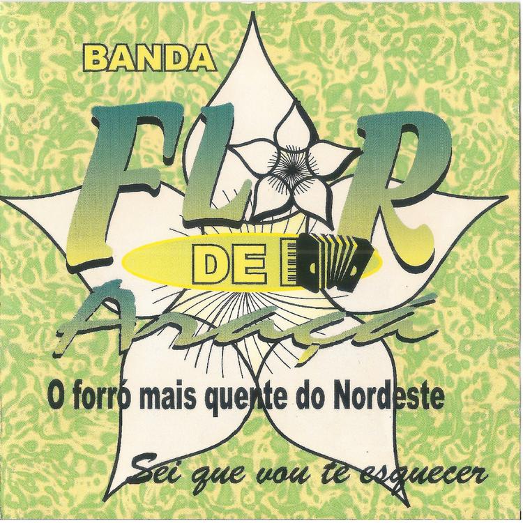 Banda Flor de Araçá's avatar image