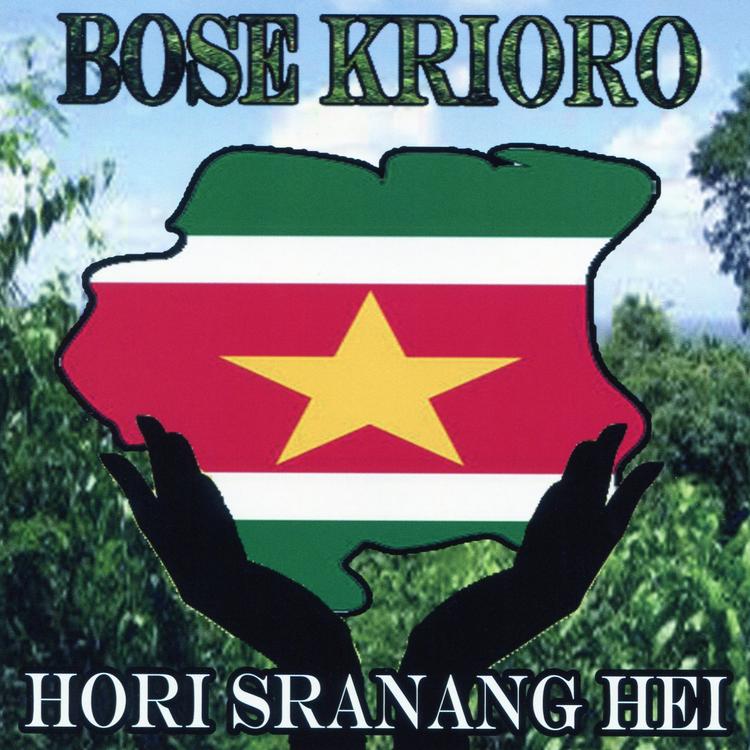 Bose Krioro's avatar image