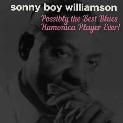 Got The Bottle Up And Go By Sonny Boy Williamson's cover