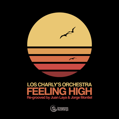 Los Charly's Orchestra's cover